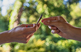 charas-addiction-side-effects-and-treatment-guide