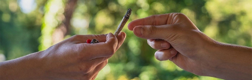 charas-addiction-side-effects-and-treatment-guide